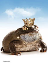 Imagem de Miniatura